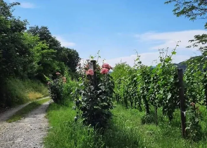 A Casa Da Bea Apartamento Passirano